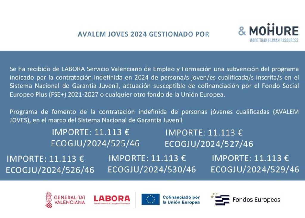 Ayudas fomento empleo juvenil