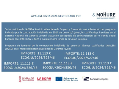 Ayudas fomento empleo juvenil